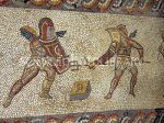 C0106191-Roman_mosaic_of_gladiators-SPL.jpg