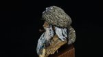 DSC08409.JPG