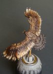 DSC07544.jpg
