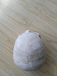 IMG_20170413_110323.jpg