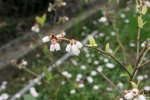 IMG_0013.JPG
