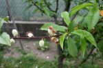 IMG_0028.JPG