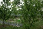 IMG_0035.JPG