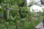 IMG_0036.JPG