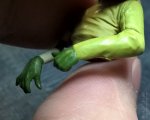 SP_1Psoff_009_(hands_04).jpg