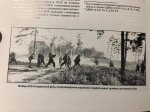 0B4CBAEB-B423-426D-86E0-BB543FBED9D1.jpeg