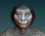 Homo floresiensis.jpg