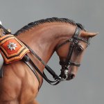 Кавалергард 10.jpg