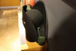 IMG_6571a.jpg