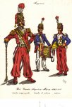 Пехотный батальон Guardia Argentina,1843-1849 -4.jpg