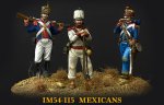 Mexicans1.jpg