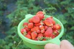 IMG_0042.JPG