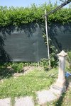 IMG_0050.JPG
