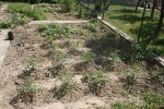IMG_0064.JPG