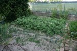 IMG_0026.JPG