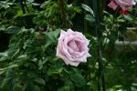 IMG_0067.JPG