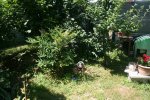 IMG_0073.JPG