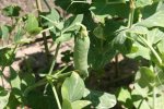 IMG_0081.JPG