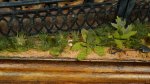 DSC08959.JPG