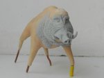 DSCN5716.JPG