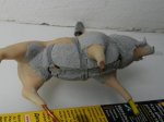 DSCN5723.JPG