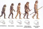 Bior8_3_3.jpg