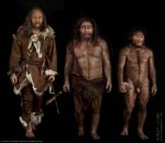 Hominides800_Photo_S_%20Entressangle_Reconstruction_Elisabeth_Daynes_Paris.jpg