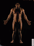 homo_neand_155h_fs.gif