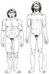 ihomosapiens.jpg