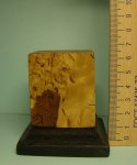 DSC05475.JPG