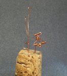 DSCF7639.JPG
