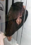 Маска конская-1, Ромашки..jpg