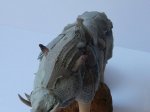 DSCN5774.JPG