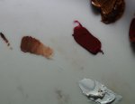 DSC09635.JPG