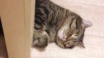 20170227_204939.jpg