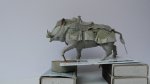 DSCN5781.JPG