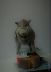 DSCN5785.JPG