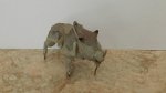 DSCN5804.JPG
