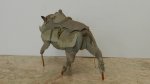 DSCN5809.JPG