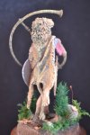DSC_0516.JPG