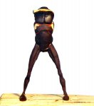 DSCN0481.JPG