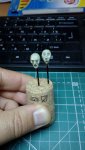 IMAG0438.jpg