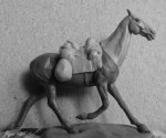 IMG_9241.JPG