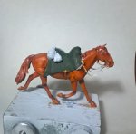 WP_20170301_20_00_58_Pro_LI.jpg
