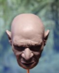 65.JPG