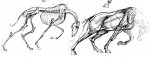 tumblr_mnp8091MUd1r2ph5.jpg