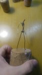 20180113_222624.jpg