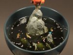 DSC01349.jpg