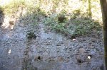DSC_0053.JPG