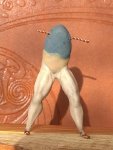 IMG_20180312_155011.jpg